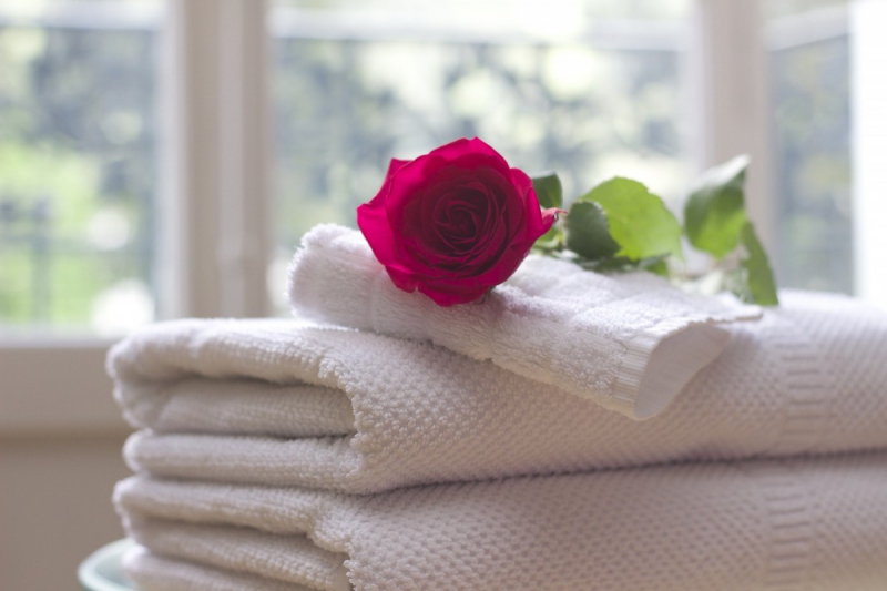 hotel-SEILLONS SOURCE D ARGENS-min_towel_rose_clean_care_salon_spa_white_bath-731641